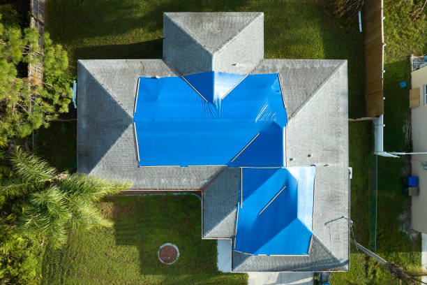Best Storm Damage Roof Repair  in Bethel, OH