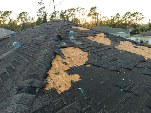 Best Roof Ventilation Installation  in Bethel, OH